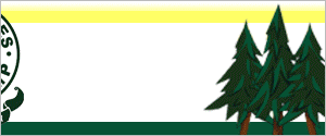 tall pines 300 x 125